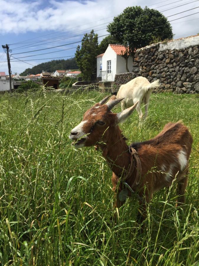 The Azores Homestead - Terceira Santa Barbara  Екстер'єр фото